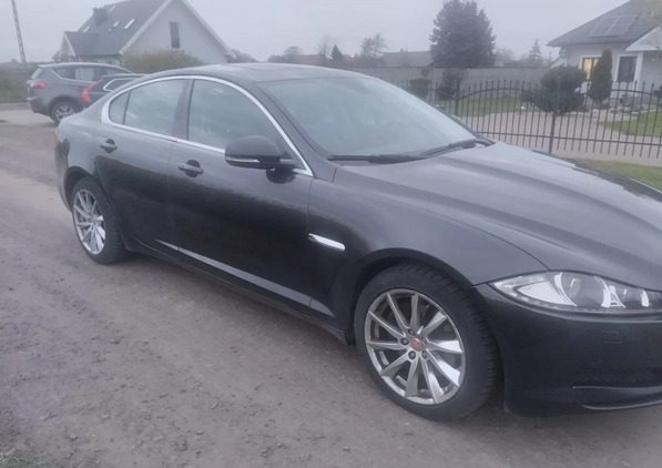 Jaguar XF cena 45500 przebieg: 114000, rok produkcji 2015 z Polkowice małe 37